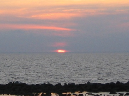 bats beach