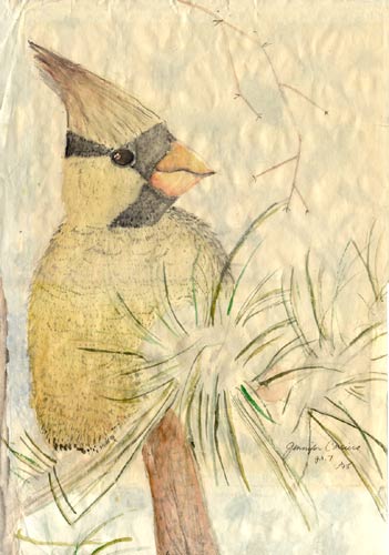 Yellow Bird