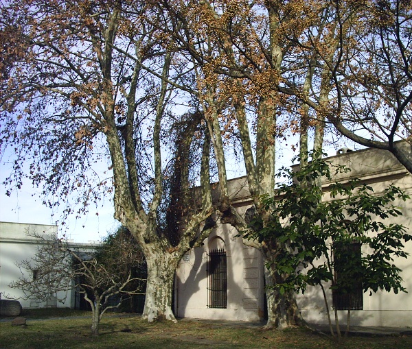Casitas 1
