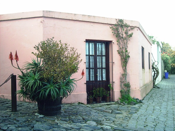 Casitas 10
