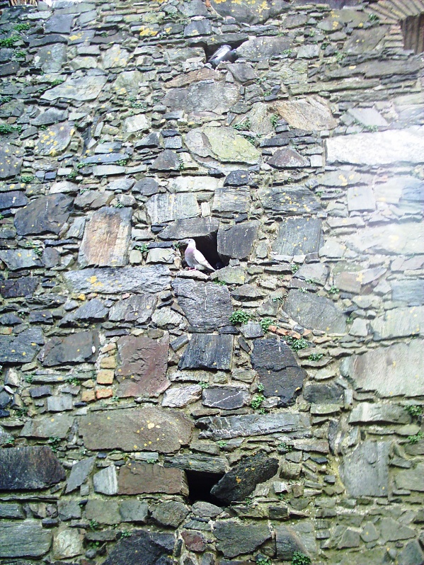 Casitas 11