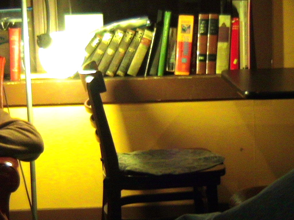 lone sitter