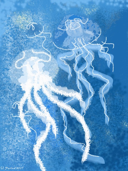 Jellyfish
