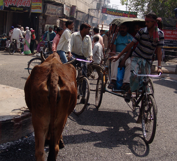 Life in India