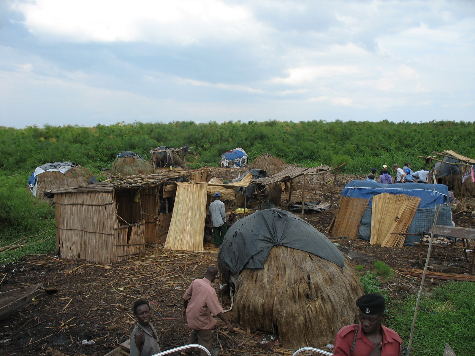 The floating islands on Lake Kyoga
