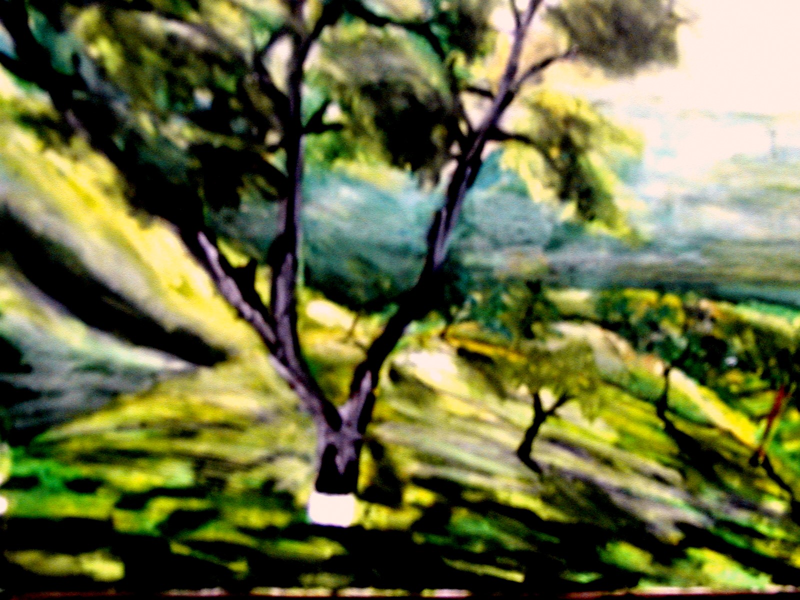 Tea Estates in North East India