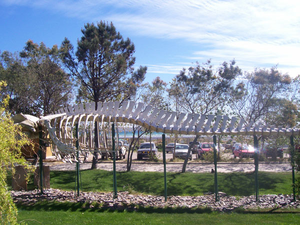 CENPAT-Puerto Madryn-Chubut