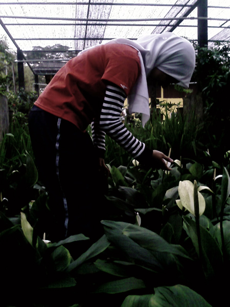 Girl With Flower