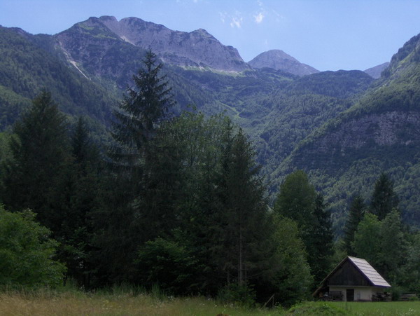 Bohinj
