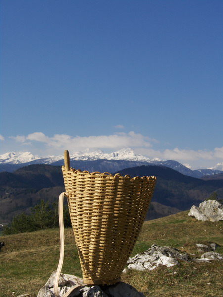Triglav seized in a basket