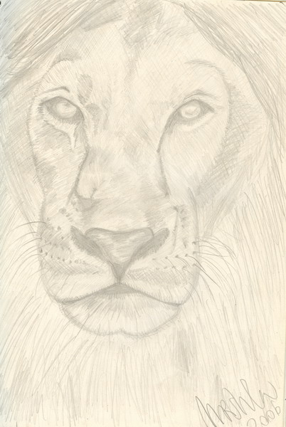 Lion's head