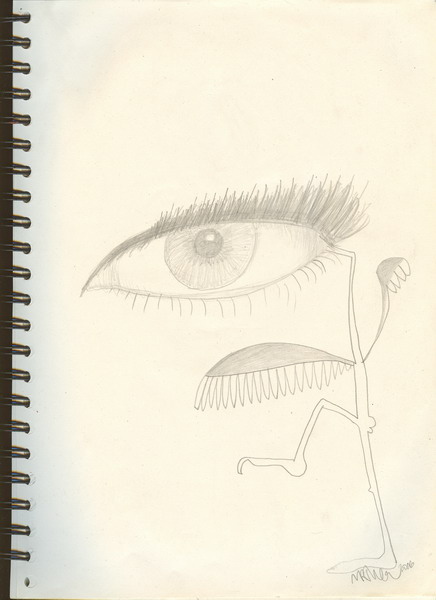 An Eye