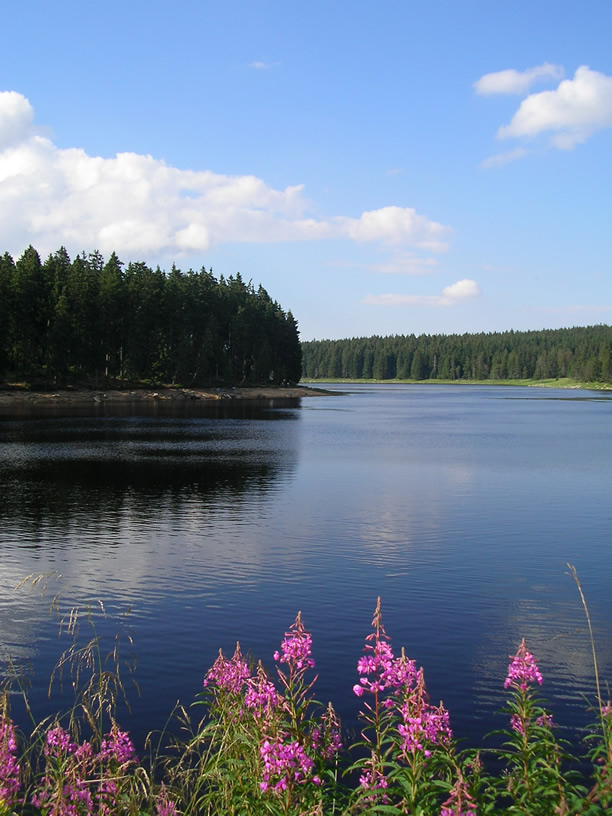 Colours of Harz
