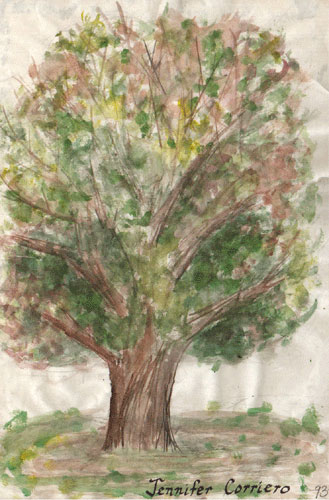 Healthy Tree