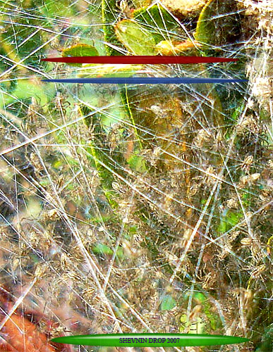 SPHERE NET SPAIDER