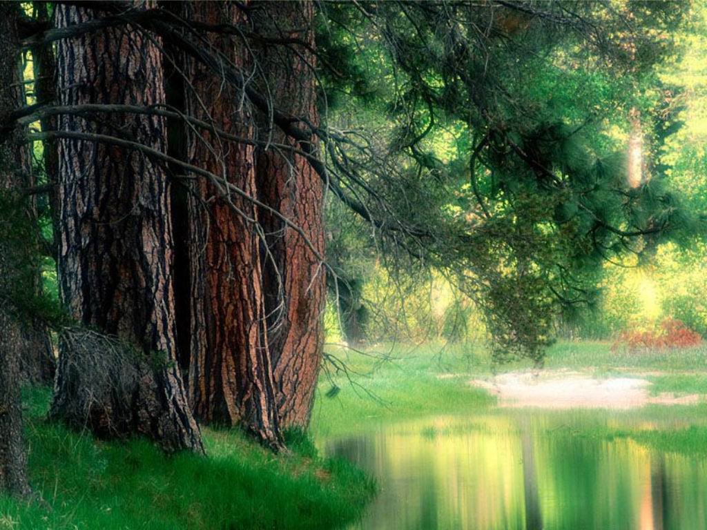 nuture-5