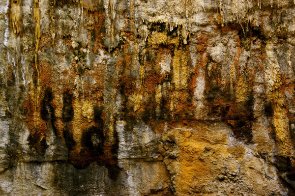 Limestone Stalactites at Loch Ard Gorge