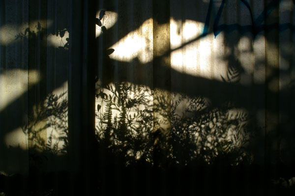 Shadows