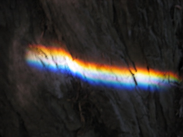 Mozart's Rainbow