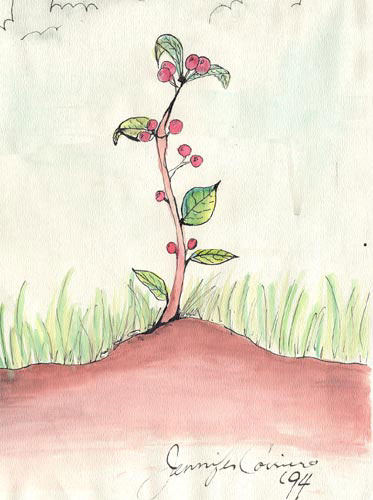 Beanstalk Apple Tree