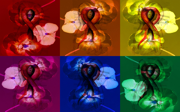 Spring Without AIDS