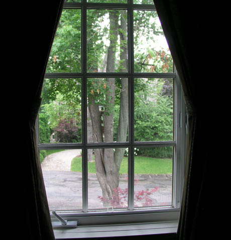 Window to Interpretation