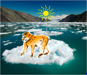 Greenhouse effect