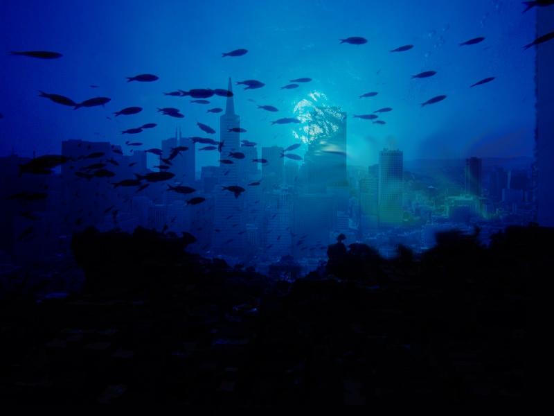 city
