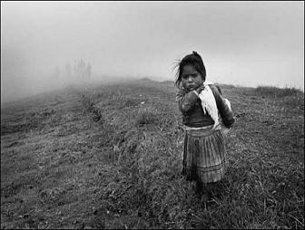 yayla