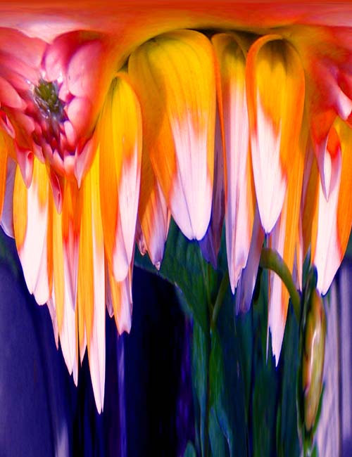 Dallia Abstract One