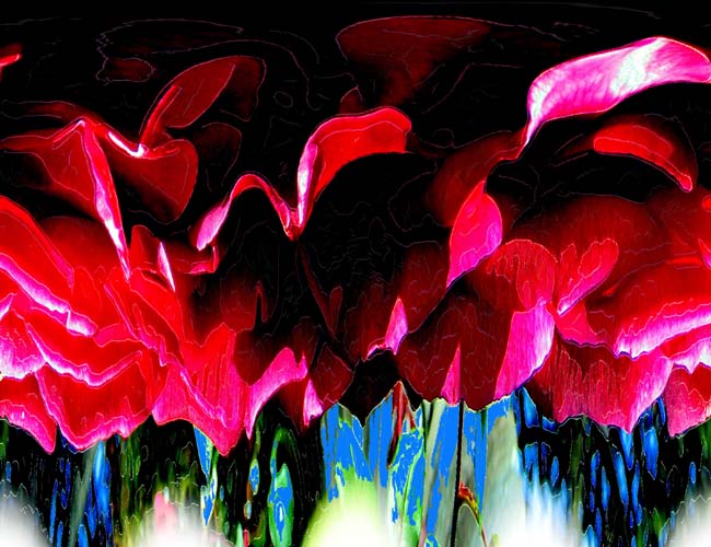 Big Red Rose Abstract