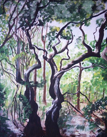 Forest in the Dunes