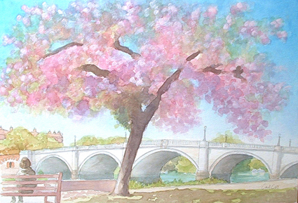 Richmond Bridge Under Blossom