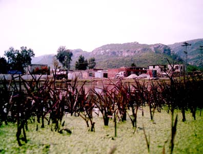 A view of lake in my camera eye