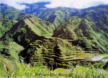 BANAUE RICE TERRACES