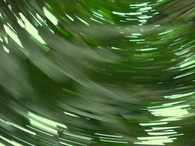 The Land Is Green