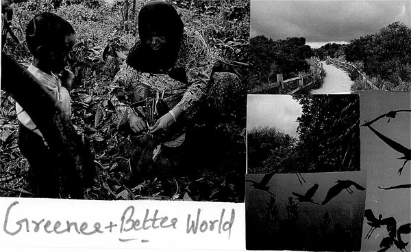 OCIC Postcard Project- MDGs
