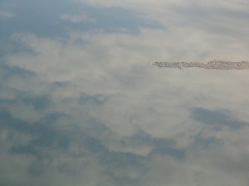 Reflections