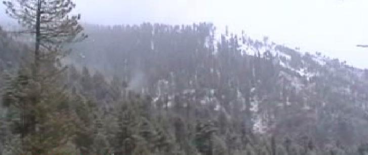 Snow Falling