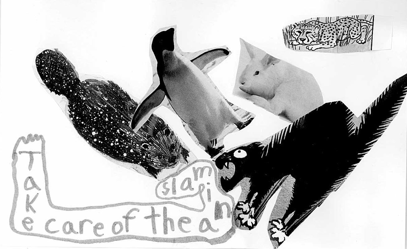 Take care of the animals