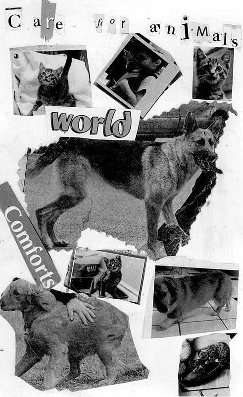 Care for animals
