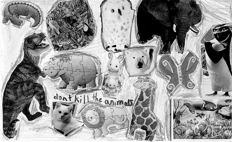 Don't kill the animals