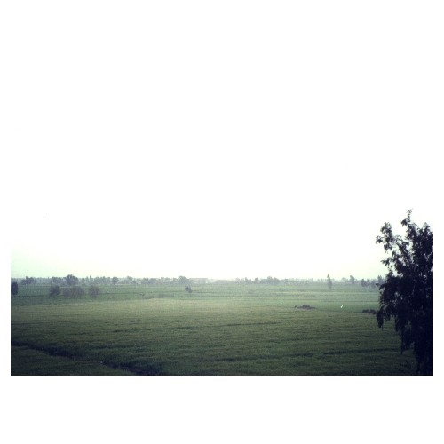The Delta Plains