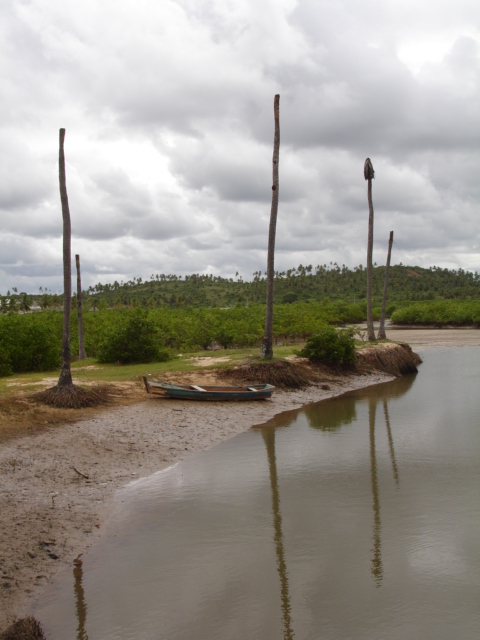 Estacas