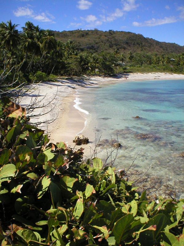 The Quemaito Beach Resort: Barahona, Dominican Republic!