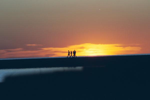 Back to the Land of Dreams
