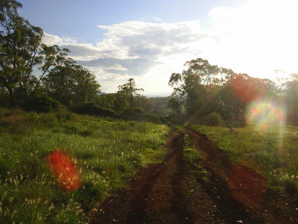 Road less travelled