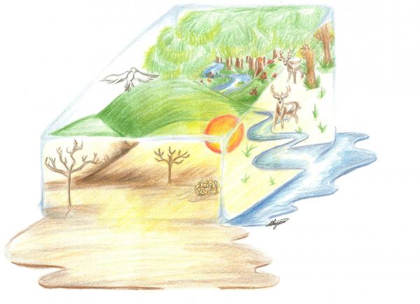 Climate Change