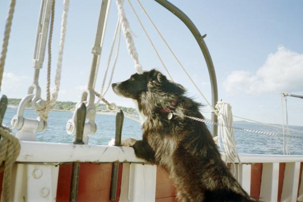 Jake's 1st sail