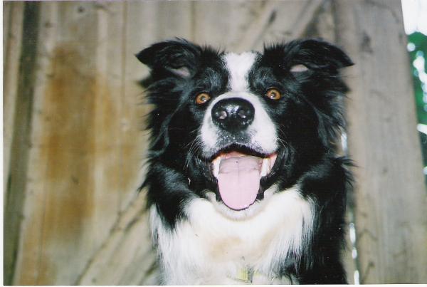 Grin!!